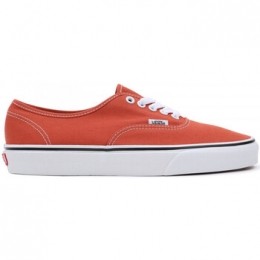 SkateschoenenVansAuthenticcolortheory