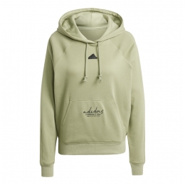 AdidasBluvQ3CasaulSweaterDamesM38