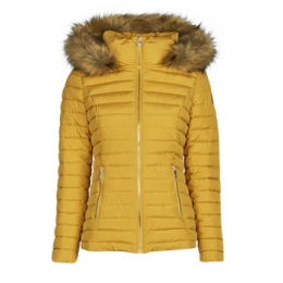 DonsjasLesPetitesBombesALIMA