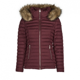 DonsjasLesPetitesBombesALIMA