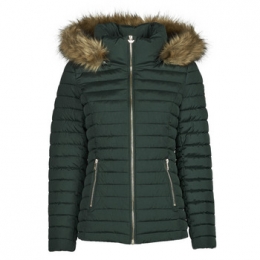 DonsjasLesPetitesBombesALIMA