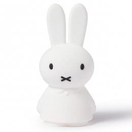 MrMariaNijntjeShinesLight22cm