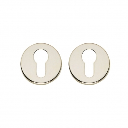 Intersteelrozettenmetprofielcilindergatverdekt49x7mm-nikkelglans