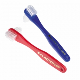 LactonaProtheseborstel