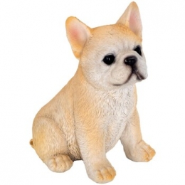 BeeldjesSignesGrimaltHond