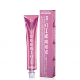 LOrealRichessedeDiacolor50mloutlet