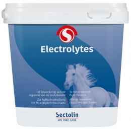 SectolinPaardensupplementElectrolytes500gr