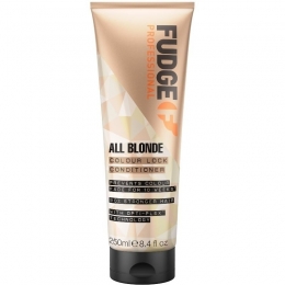 FudgeAllBlondeColourLockConditioner250ml
