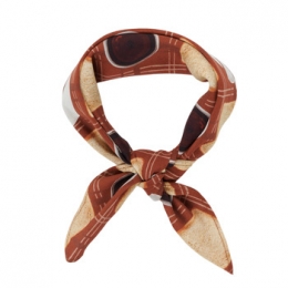 SjaalSoiParisxSpartooPANIER