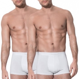 Stedman2stuksDexterBoxerForMenActie