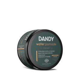 DandylisapDandyWaterPomade100ml