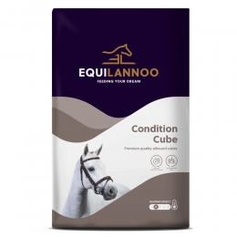 EquilannooConditionCube20kg