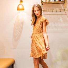 KorteJurkClesteSIXTINE