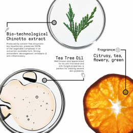 FramesiMorphosisPurifyingShampoo1000ml