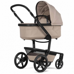 JoolzDay5SpecialEdition