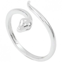 ringClioBlue-