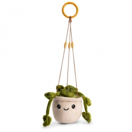 Prnatalpluchehangplant