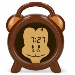 AlectoslaaptrainerAap