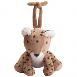 PrnatalmuziekdoosjeSavanne