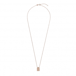 CLJ20014-ForceTropicaleRosClusecollier