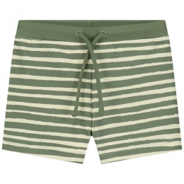 Prnatalkinderzwemboxer