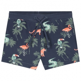 Prnatalzwemboxerdieren