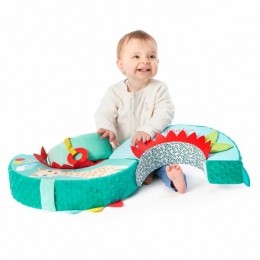 SophiedegirafActivityWheel