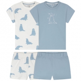 Prnatalpeutershortama2stuks