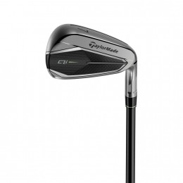 TaylormadeQiGunmetalEditionGraphite5-SW