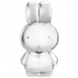 ZilverstadNijntjespaarpot