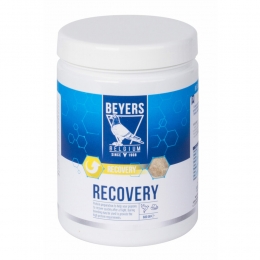 BeyersRecovery600gr