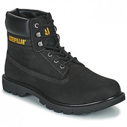 LaarzenCaterpillarCOLORADO20