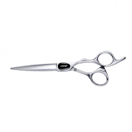 E-KwipPLUSPrimusKnipschaar55inch