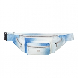 GoldberghColFannyPack