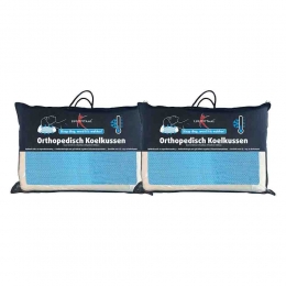 2xLucovitaalKoelkussenOrthopedisch
