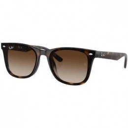 ZonnebrilRay-banUNISEX0RB442071013