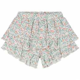 Prnatalbabyskort