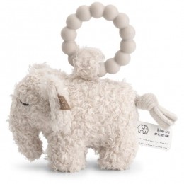 PrnatalrammelaarOtisdeolifant