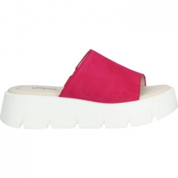 KlompenGaborMuiltjes