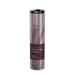 FramesiSmoothingSystemCaringShampoo250ml