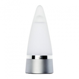 RochasManEaudeToilette100ml