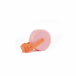 BeezteesZoutliksteenmetHouder108gr