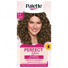 PalettePerfectGloss6-0LightBrown