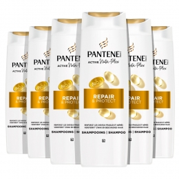 6xPanteneShampooRepairProtect250ml