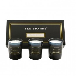 TedSparksBambooampPeonyMiniCandleGiftSet
