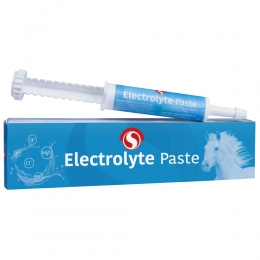SectolinPaardensupplementElectrolytePaste30ml