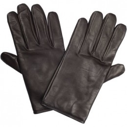 HandschoenenPalZileri-