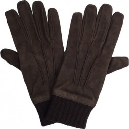 HandschoenenPalZileri-