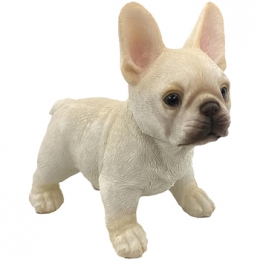 BeeldjesSignesGrimaltHond