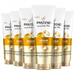 6xPanteneConditionerRepairProtect230ml